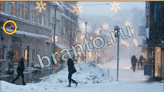 Подсказки на игру Где же кот Уровень 4482