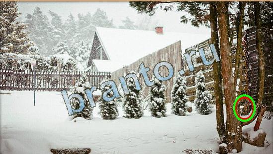 Где же кот игра ответы в одноклассниках Уровень 4487