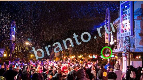 Где же кот? ответы Уровень 4488