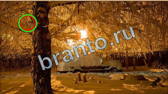 решебник на игру Где же кот Уровень 4491