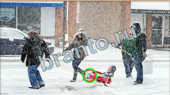 Где же кот? решения Уровень 4492