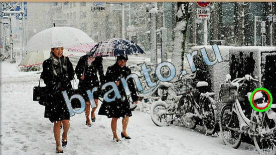 Где же кот игра подсказки Уровень 4494