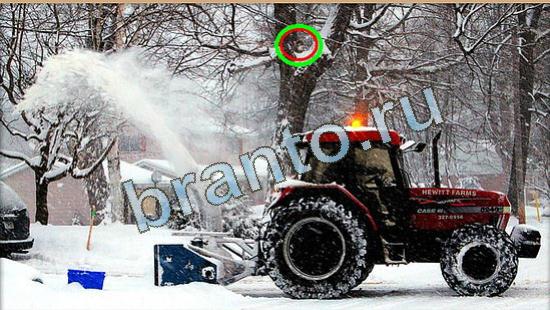 Где же кот игра помощь Уровень 4495