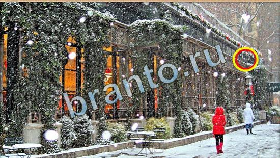 Где же кот ответы в картинках Уровень 4496