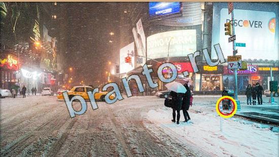 Игра Где же кот ответы Уровень 4497