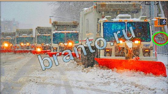 Игра Где же кот подсказки Уровень 4498