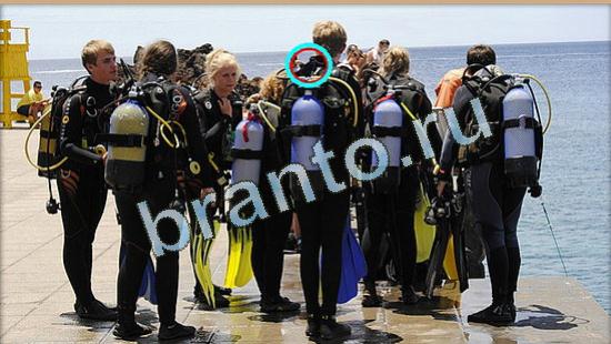 прохождение на игру Где же кот Уровень 4501