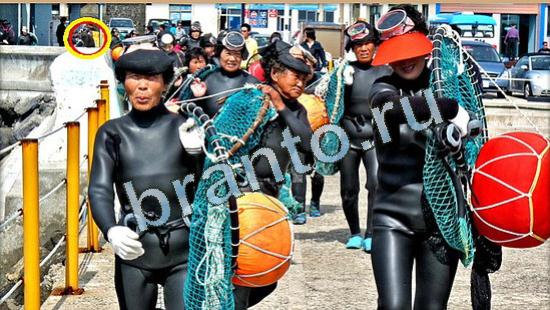 Где же кот прохождение игры Уровень 4502