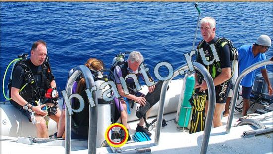 ответы Где же кот Уровень 4505