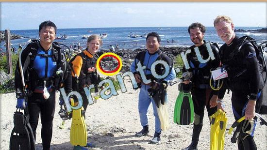 ответы для игры Где же кот Уровень 4507