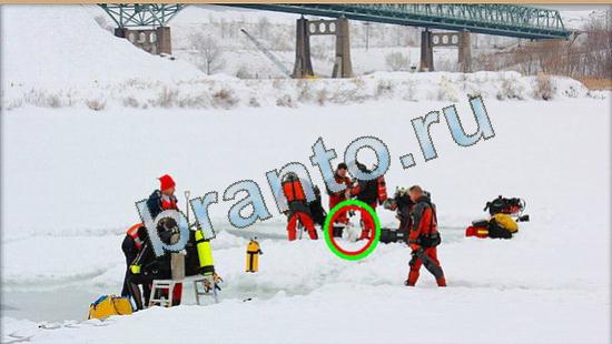 решения для игры Где же кот Уровень 4508