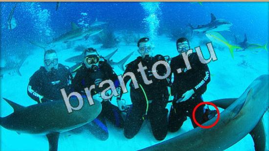 игра в одноклассниках Где же кот ответы Уровень 4510