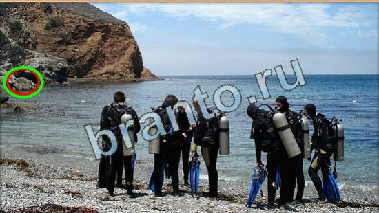 Где же кот ответы на новые задания Уровень 4513