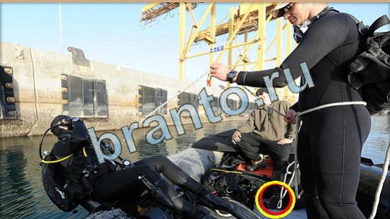 решения на игру Где же кот Уровень 4515