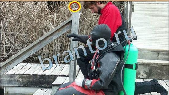 ответы на игру Где же кот Уровень 4516