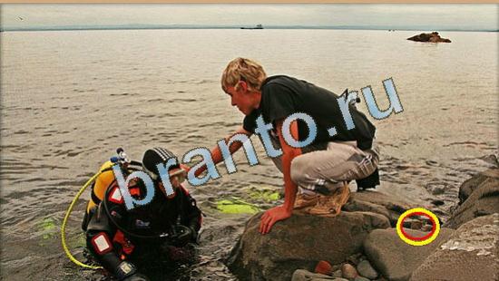 помощь на игру Где же кот Уровень 4518