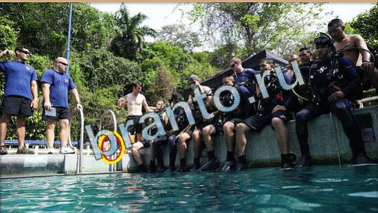 Где же кот ответы в одноклассниках Уровень 4519