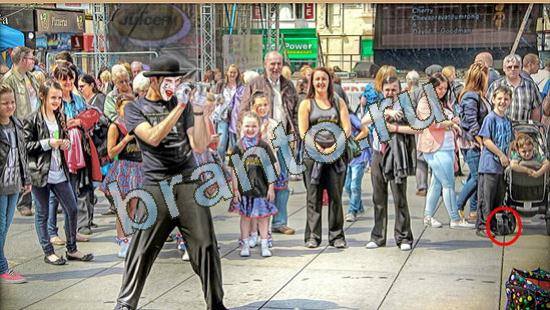 ответы на игру Где же кот Уровень 4601