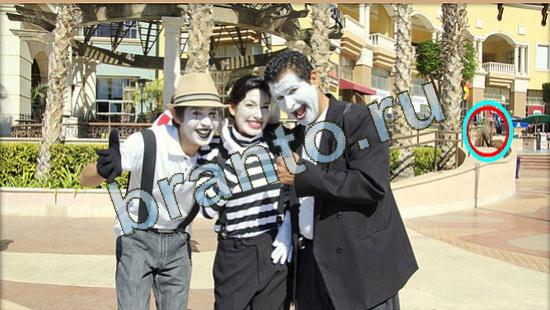 ответы на игру в одноклассниках Где же кот Уровень 4606