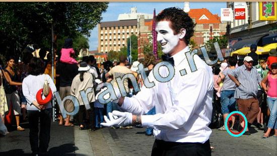 Где же кот? подсказки Уровень 4609