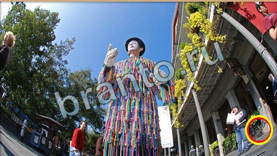 Где же кот игра ответы Уровень 4613