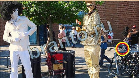 Где же кот игра помощь Уровень 4615