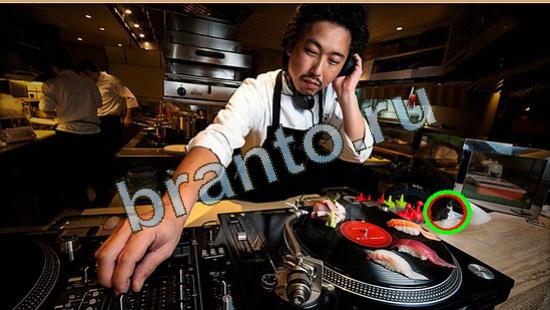 игра в одноклассниках Где же кот ответы Уровень 4630