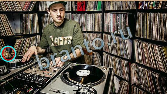 решения на игру Где же кот Уровень 4635