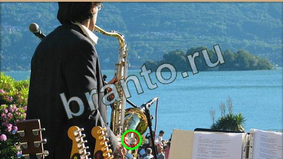 ответы на игру Где же кот Уровень 4641