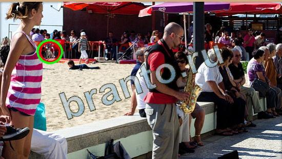 Подсказки на игру Где же кот Уровень 4642