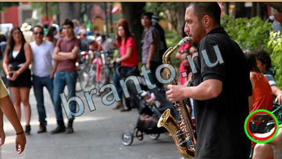 Решения на игру Где же кот Уровень 4643