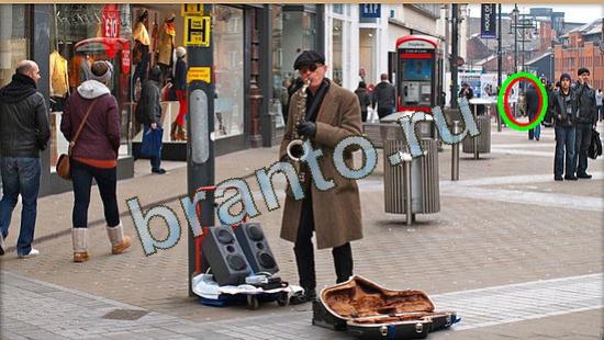 ответы к игре Где же кот Уровень 4645