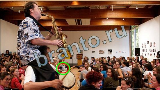 ответы на игру в одноклассниках Где же кот Уровень 4646