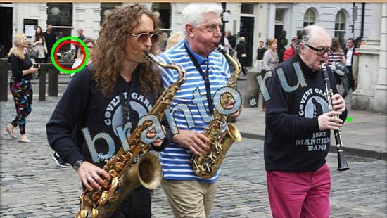 Где же кот? ответы Уровень 4648