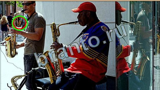 Где же кот? подсказки Уровень 4649