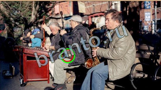 Где же кот? помощь Уровень 4650