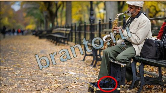 Где же кот ответы в картинках Уровень 4656