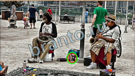 Игра Где же кот прохождение Уровень 4660