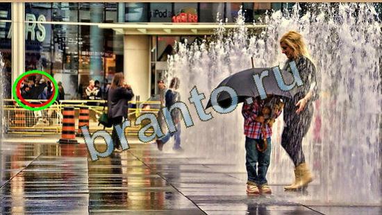 ответы Где же кот Уровень 4665