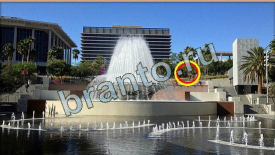 ответы Где же кот? в одноклассниках Уровень 4666