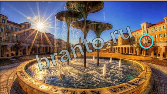 решения на игру Где же кот Уровень 4675