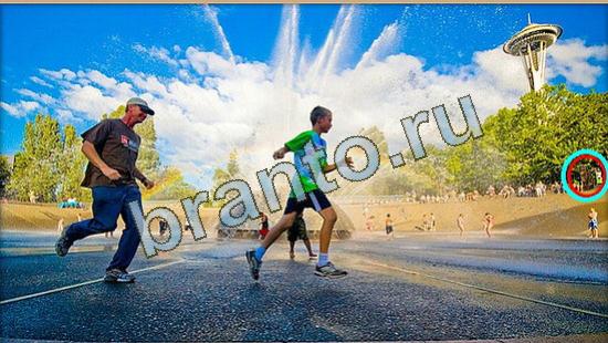 ответы в картинках на игру Где же кот Уровень 4677