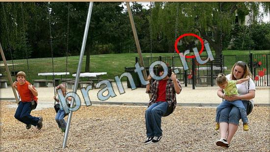 Подсказки на игру Где же кот Уровень 4682