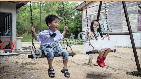 Где же кот? подсказки Уровень 4689