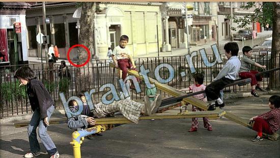 Где же кот игра подсказки Уровень 4694