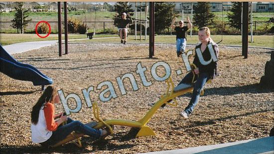 Где же кот игра помощь Уровень 4695