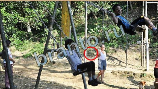 игра Где же кот помощь Уровень 4699