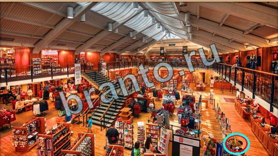 Где же кот прохождение игры Уровень 4702