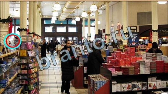 ответы для игры Где же кот Уровень 4707