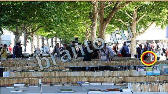 решения для игры Где же кот Уровень 4708